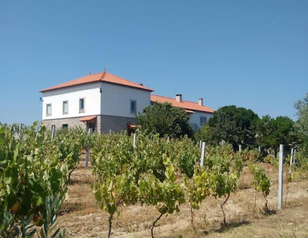 Vila Quinta De Vodra Seia Exteriér fotografie