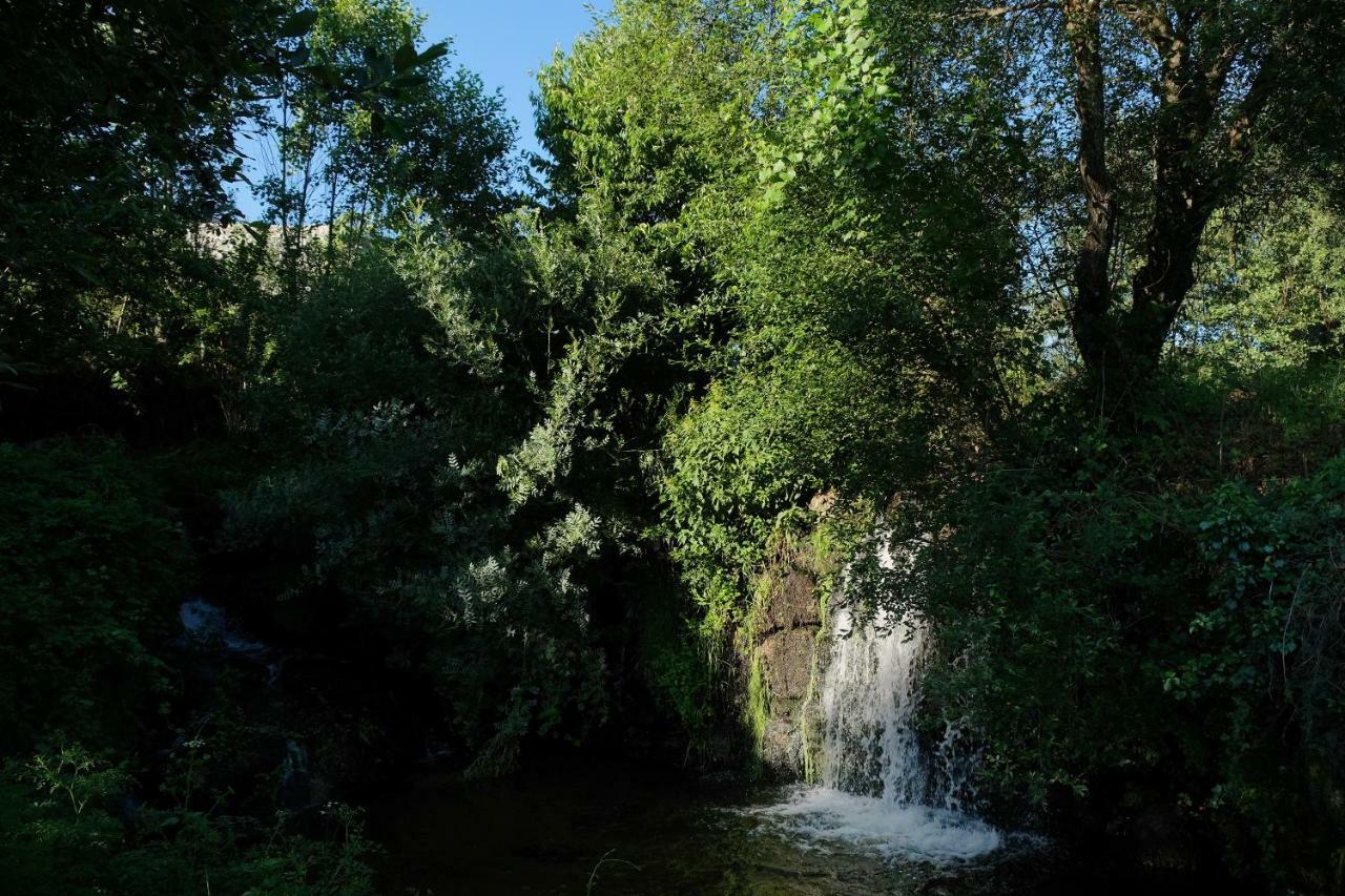 Vila Quinta De Vodra Seia Exteriér fotografie