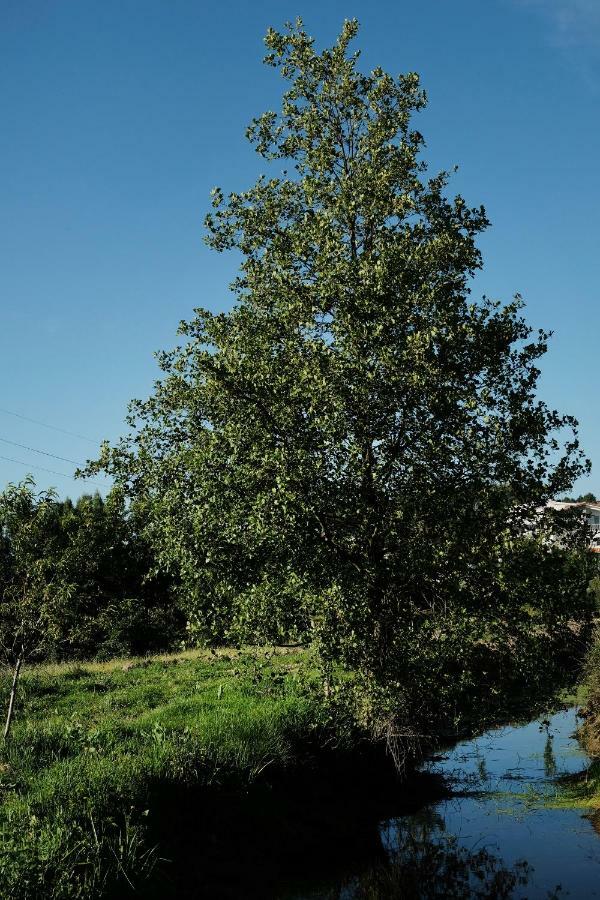 Vila Quinta De Vodra Seia Exteriér fotografie